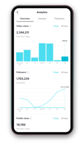 TikTok campaign analysis